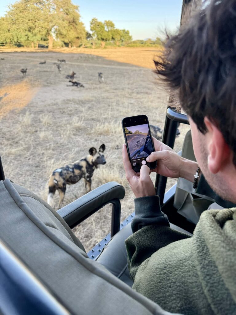 A boy taking a picture of a wild dog on an African safari.